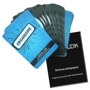 Cartes Collectivités territoriales du jeu CYBERLUDIK
